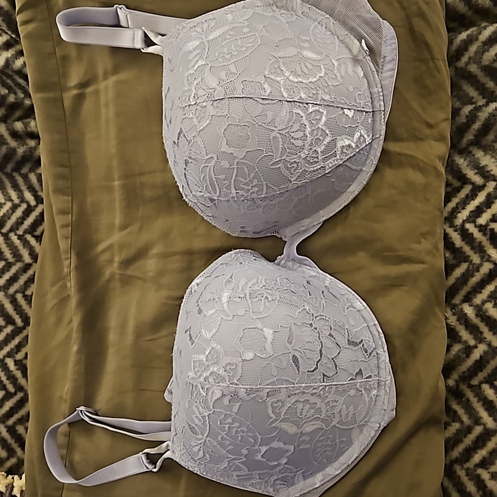 Victoria's Secret pushup lace in lilac.  38DDD